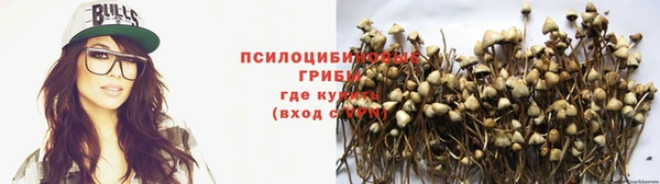 2c-b Балабаново