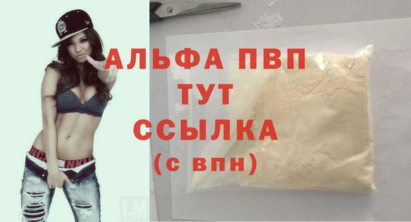 стаф Белокуриха