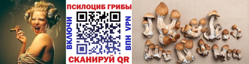 Галлюциногенные грибы MAGIC MUSHROOMS  даркнет клад  Кодинск 
